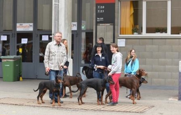 IHA St. Gallen 4. und 5. Mai 2013