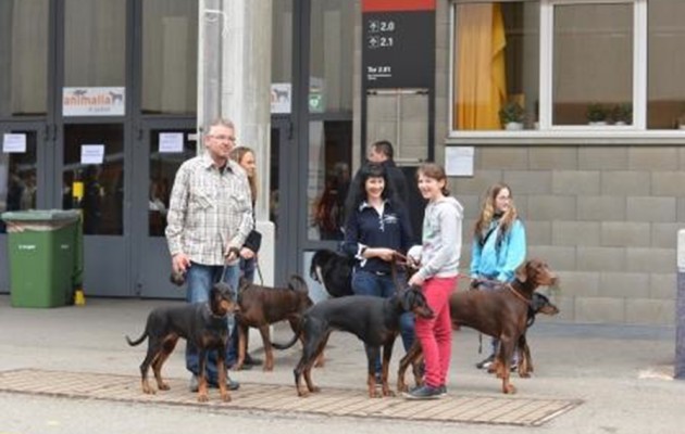 IHA St. Gallen 4. und 5. Mai 2013