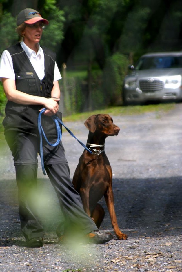 Bilder Unterordnungskurs 22.06.2013