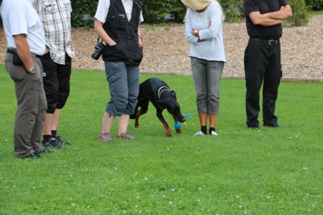 Bilder Unterordnungskurs vom 14. Juni 2014