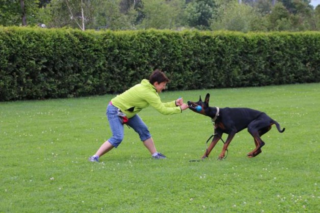 Bilder Unterordnungskurs vom 14. Juni 2014