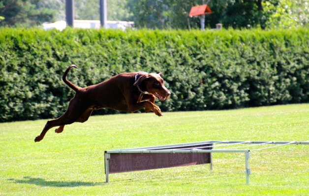B-C Turnier SC OG Schollberg 24. Juli 2015