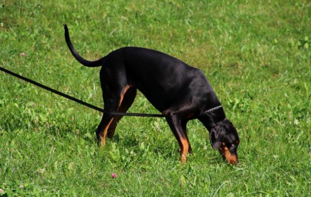 Trainingswoche im Bayrischen Wald 19. – 24. September 2015