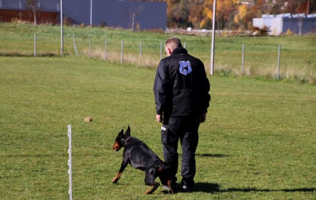 Herbstprüfung SC OG Chur 31. Oktober 2015