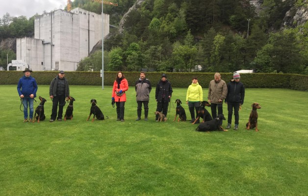 UO-Kurs bei Hundeausbildung Heini Beck GmbH, Trübbach am 11.05.2019