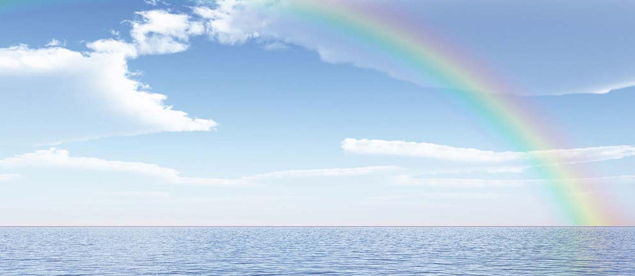 Die Regenbogenbrücke